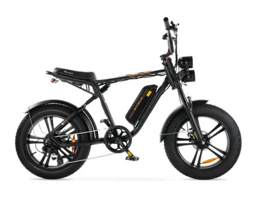 ENGWE M20 Fatbike - Zwart