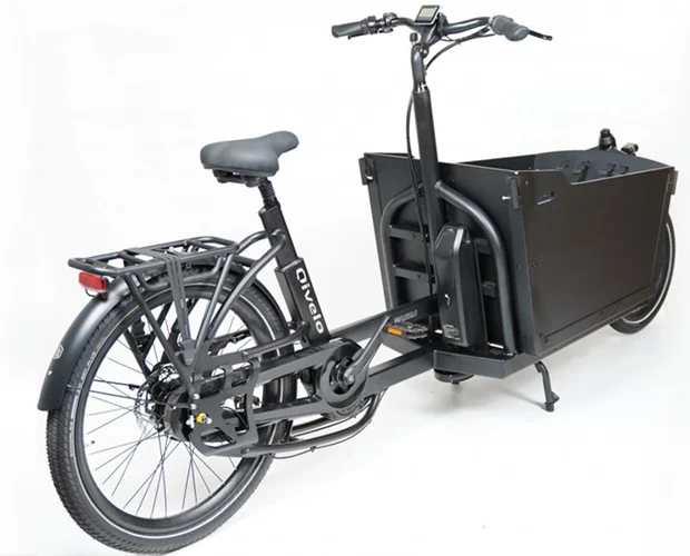 Qivelo Ananda Twowheel 48V - Afbeelding 2